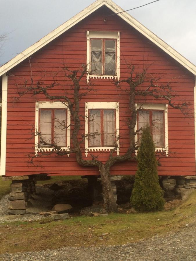 Line Pa Hauane1 Bed and Breakfast Volda Exteriör bild