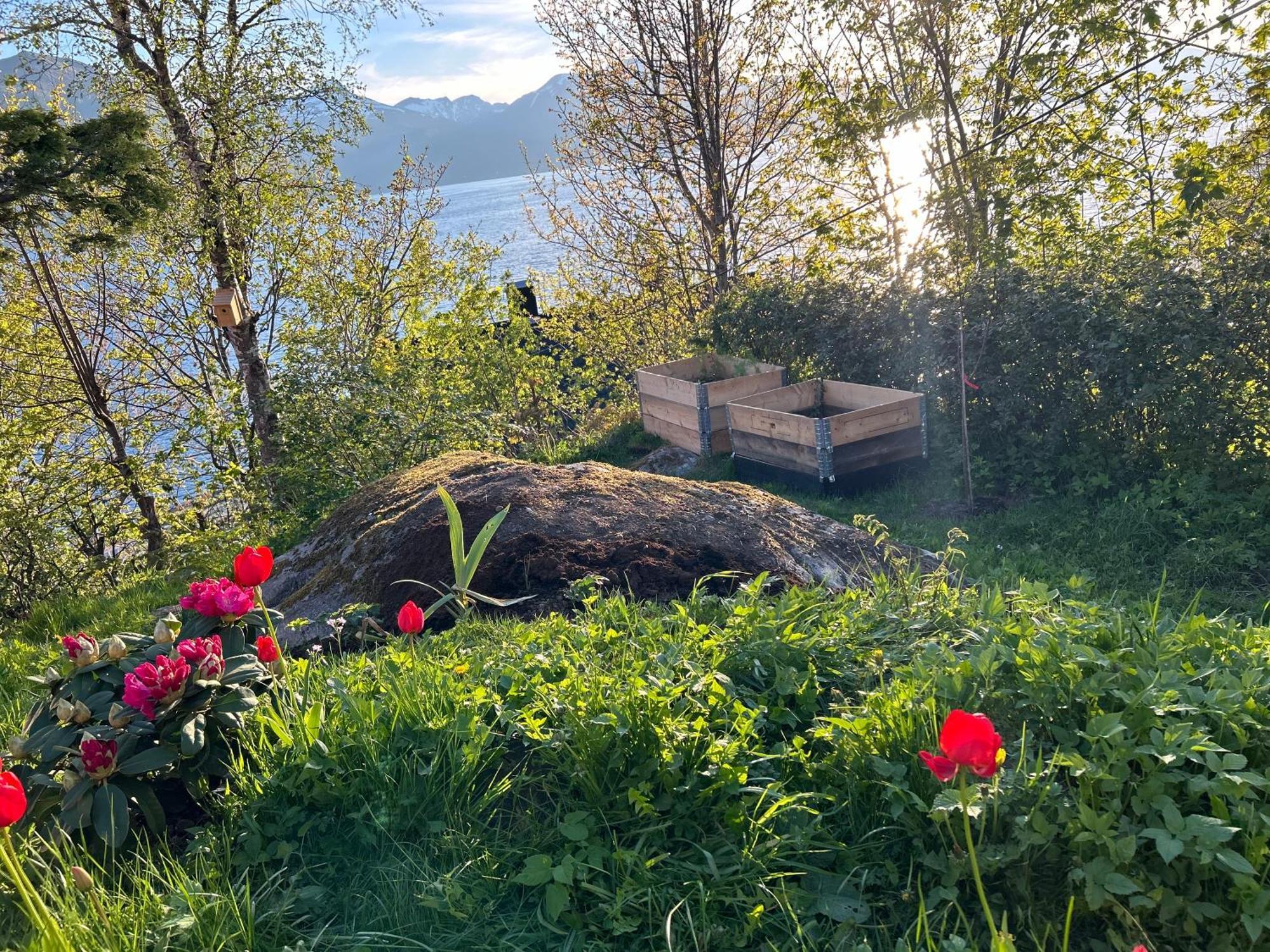 Line Pa Hauane1 Bed and Breakfast Volda Exteriör bild